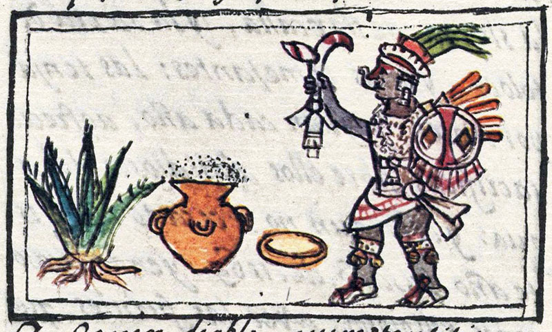 Aztec Pulque